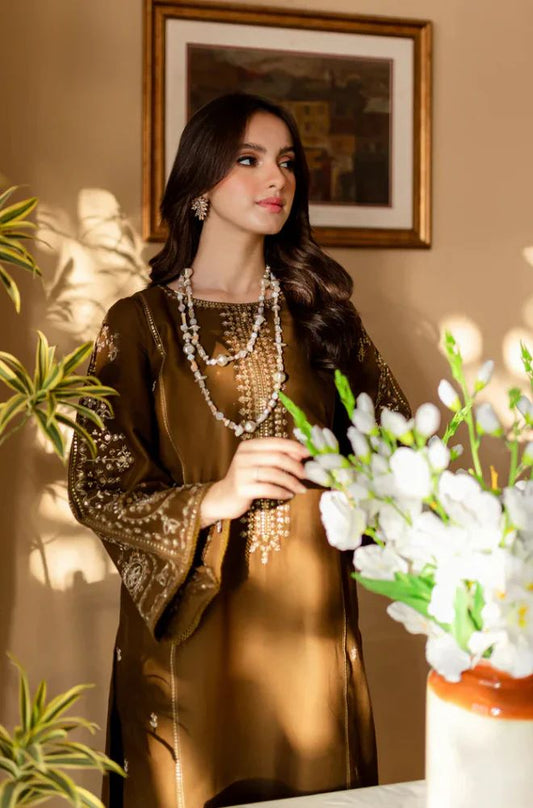 Unstitched 2pc Dhanak Embroidered Winter Dress – Coffee Brown